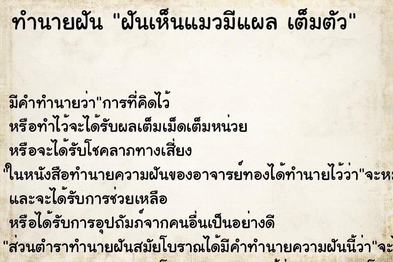 ทำนายฝัน ฝันเห็นแมวมีแผล เต็มตัว ตำราโบราณ แม่นที่สุดในโลก